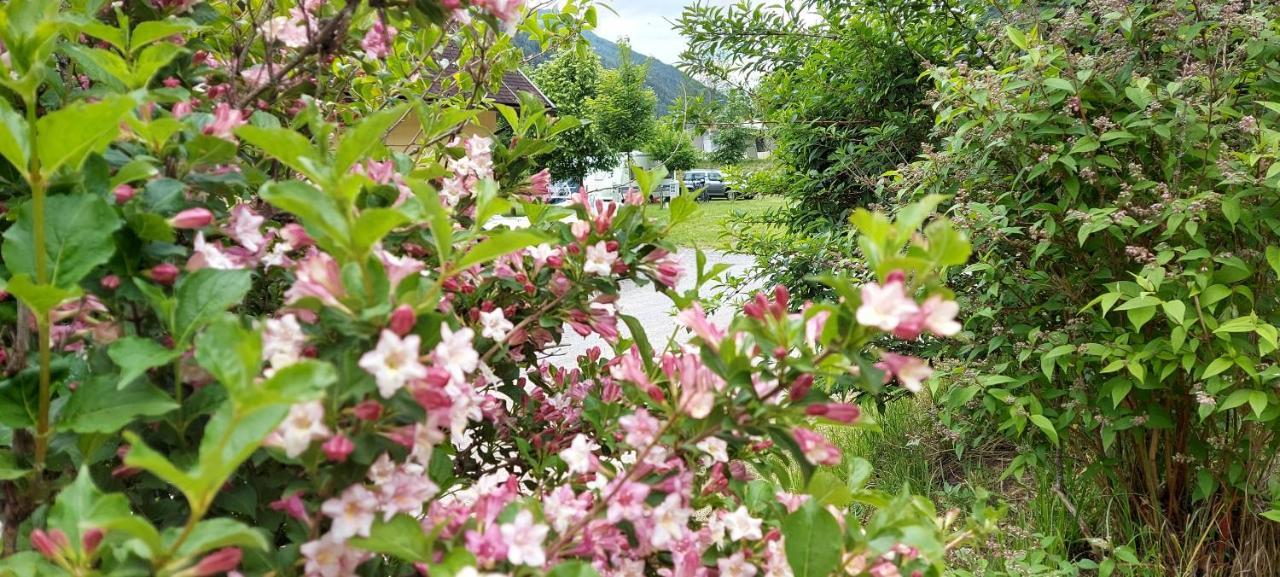 Camping Bella Austria Sankt Peter am Kammersberg Екстер'єр фото