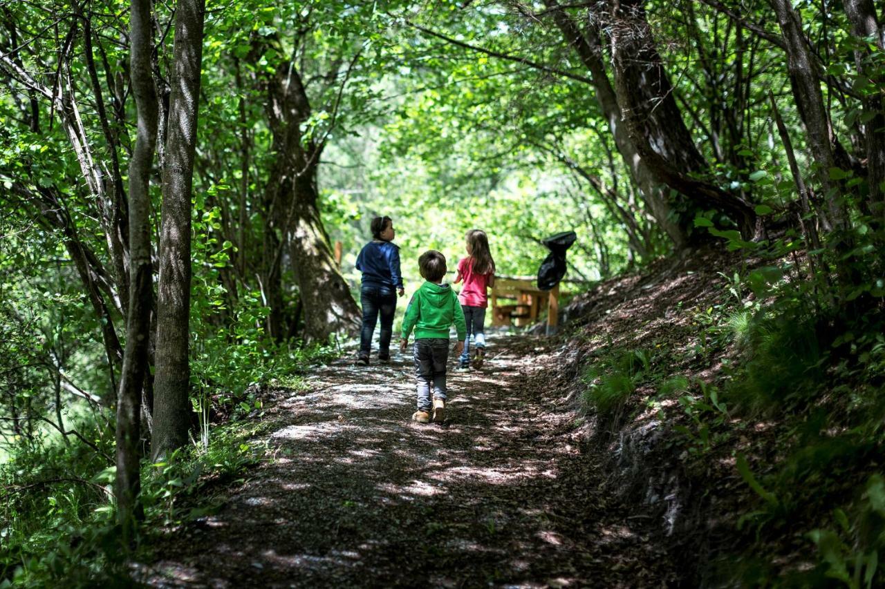 Camping Bella Austria Sankt Peter am Kammersberg Екстер'єр фото